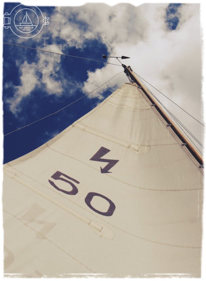 lomogram_2017-06-12_11-03-25