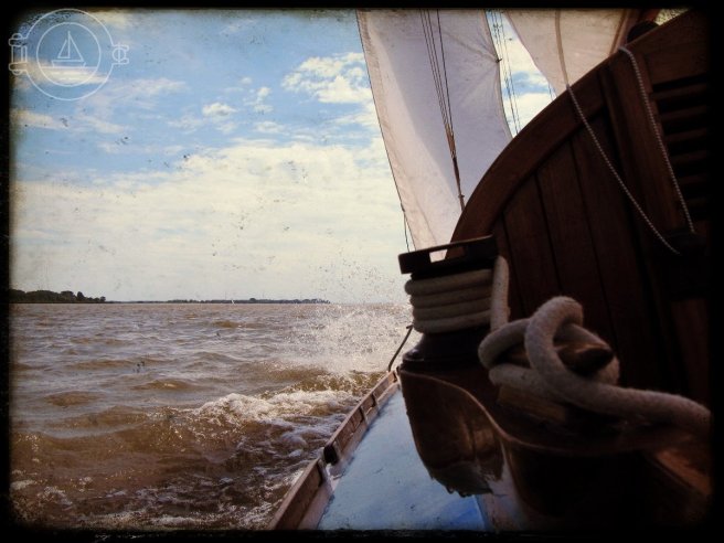 lomogram_2017-06-12_11-05-04