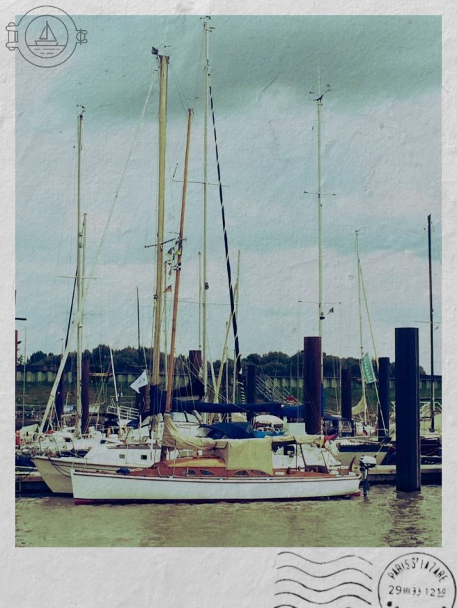 lomogram_2017-06-15_05-13-57